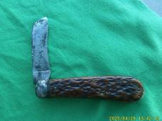 Remington R-703 Small Hawkbill / Pruner Bone Handles