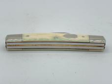 BULLDOG BRAND Solingen Germany Genuine Ivory Congress w/ OMP Box