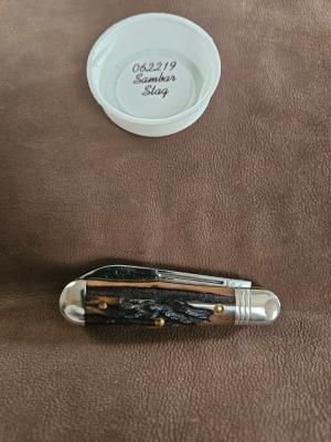 Gec 06 Sambar Stag