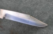 Hoffritz Seahorse 3 5/8" Gnarly Italian Stag 2 Blades Nickel BolstersPins & Shield Near Mint