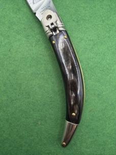 AGA Campolin Diana  