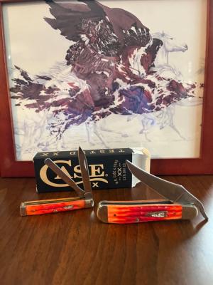 Case XX Indian Paintbrush duo