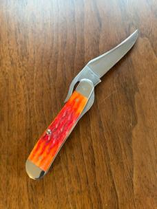 Case XX Indian Paintbrush duo