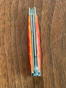 Case XX Indian Paintbrush duo