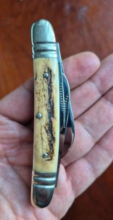 3 7/8" 1st Generation Bulldog 1984 Old Dominion Stag Handle 1 of 300 Knife Collectors 4-blade ODKCA,