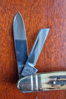 3 7/8" 1st Generation Bulldog 1984 Old Dominion Stag Handle 1 of 300 Knife Collectors 4-blade ODKCA,