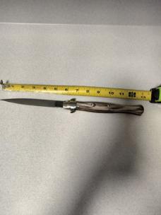A. Rosa 13inch wasp body fan tail picklock
