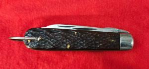 Pal Blade Co. Bone handle TL-29