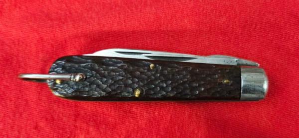 Pal Blade Co. Bone handle TL-29 Pal Blade Co. Bone handle TL-29
