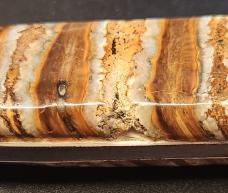 2 Anza Knife Fixed Blades - Made in USA