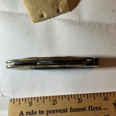 CASE 06247 9 dot 2 blade bone hand mint 