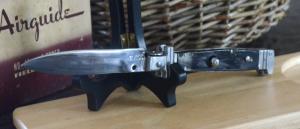 Mexican Picklock 