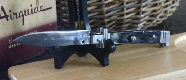 Mexican Picklock Mexican Picklock