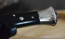 Wandy 28cm Transitional Black Horn Scales BEAUTY!