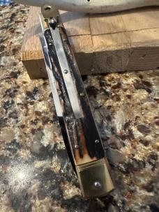 Premium Stag 14cm 