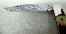 1981 STAG COKE BOTTLE STAG FOLDING KABAR USA MINT COLLECTORS CLUB KNIFE FROM WALL DISPLAY