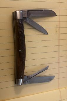 4 BLADE STAG HANDLES CONGRESS SOLIGIN