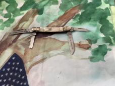 Bull Dog Congress (4) Blade Folder