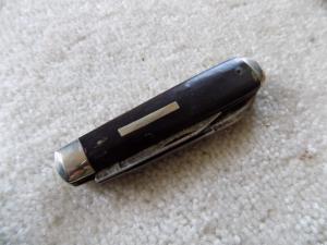 Dwight Divine & Sons USA Horn Handles Knife