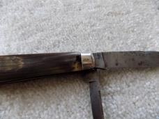 Dwight Divine & Sons USA Horn Handles Knife