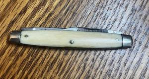 RARE 1800s CROOKS SHEFFIELD IVORY