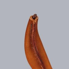 Vintage 1960s Finnish Sheath for Tapio Wirkkala Puukko Knife by Hackman #8789