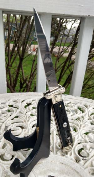 AGA Campolin Francese with uncommon horn scales - NEAR MINT