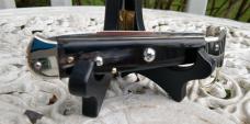 AGA Campolin Francese with uncommon horn scales - NEAR MINT