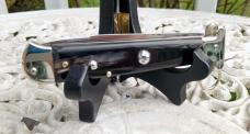 AGA Campolin Francese with uncommon horn scales - NEAR MINT