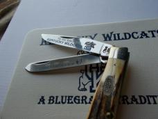 Case 5254 Stag Trapper University of Kentucky Knife 