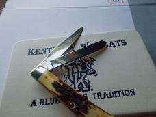 Case 5254 Stag Trapper University of Kentucky Knife 