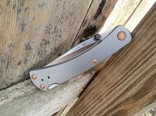 Buck 110 Slim Pro TRX Folding Knife - 2023 Legacy Collection Titanium Handle S45VN Blade - New