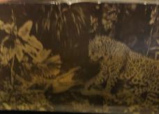 New in Display Case Trapper from the Big Cat “Series” Jaguar
