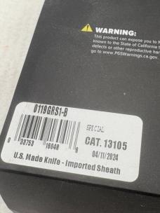 Buck USA 119GRS1-B Special Pro Fixed Blade With Sheath New In Box