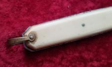 Vintage French Large Bone Coffin Leverlock 