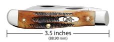 Case XX USA 6.5 Burnt Bone Stag 65305 Stainless Mini Trapper Folding PocketKnife