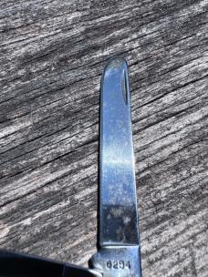 Case Pretty Bone Trapper