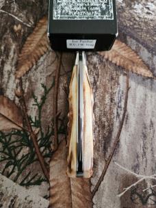 Queen Joe Pardue Stag Harvester 