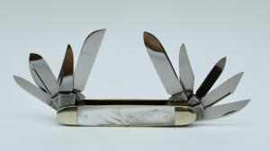 1989 Frank Buster Fightn Rooster 10 Blade MOP Rocky Mountain Blade Collectors 10th Ann Knife