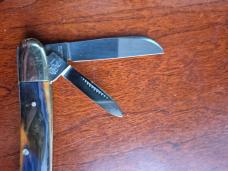 3 7/8" Bulldog 25th Anniversary Limited Edition Congress Folding Pocket, 2004