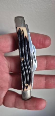  3 3/8" Queen Steel #33 USA Congress Knife, Imitation Winterbottom Bone, Q76