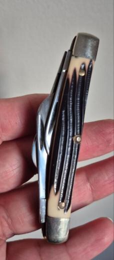  3 3/8" Queen Steel #33 USA Congress Knife, Imitation Winterbottom Bone, Q76