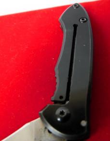  BUCK SPECIAL EDITION APPROX. 3" CLOSED PRE-OWNED VERY NICE WITH GOOD EDGE FOR DAILY CARRY
