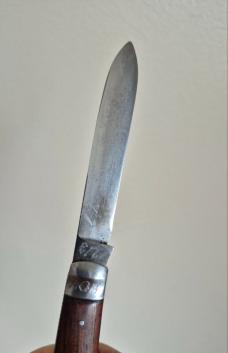 4 1/4" Rare Vintage C. Lutters & Cie Loewen Messer Pocket Knife, Solingen Germany 