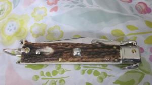 9" Lepre stag swing guard