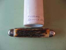 GREAT EASTERN  538208 CIGAR MUSKRAT BURNT STAG #2