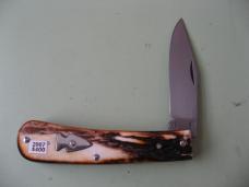 NORTHWOODS SCAGEL STAG 2007