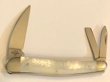 In plain Case clamshell and sleeve  Mother of Pearl Seahorse