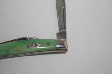 Case smooth green bone congress 6468