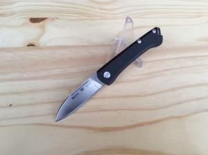 Buck Knives 250 Saunter Folding Knife Micarta Handle 154CM Blade - New